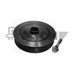 P752340 PLYOM