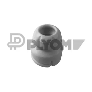 P760427 PLYOM