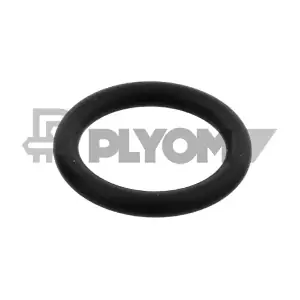 PLYOM P955245