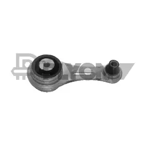 P020462 PLYOM