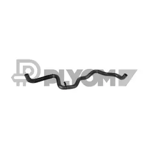 P770339 PLYOM