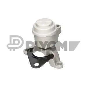 PLYOM P770955