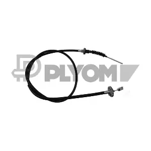 P168301 PLYOM