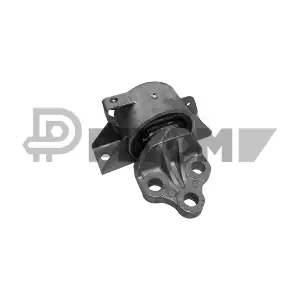P755957 PLYOM