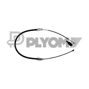 P188013 PLYOM