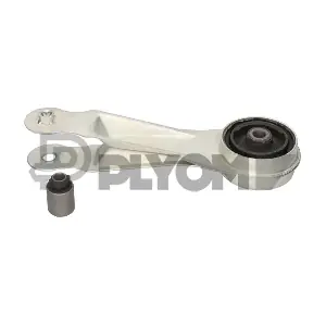 P021397 PLYOM