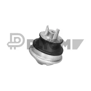 P180196 PLYOM