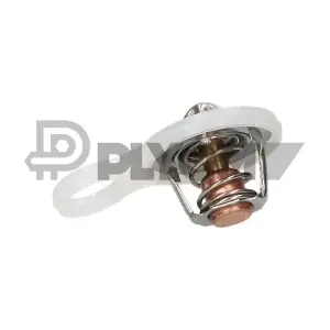 PLYOM P772117