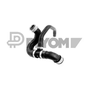P754095 PLYOM