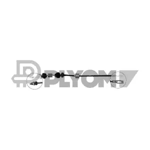 PLYOM P036639