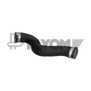 P775880 PLYOM