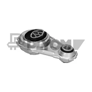 PLYOM P756243