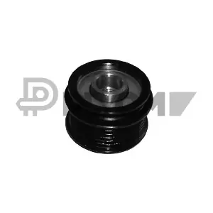 P460970 PLYOM
