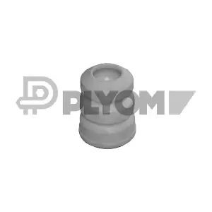 P031486 PLYOM