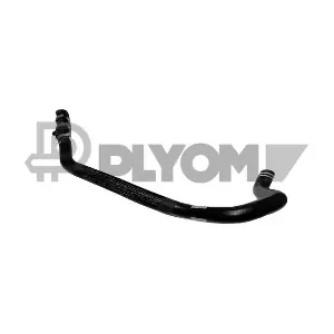 P036738 PLYOM