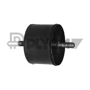 P010105 PLYOM