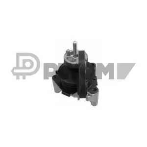 P759247 PLYOM