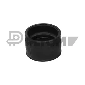 P751968 PLYOM