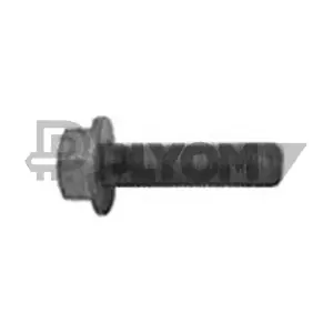 P757037 PLYOM