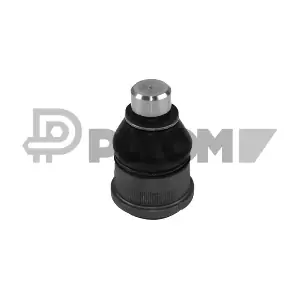 P755002 PLYOM