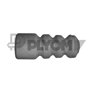 P462452 PLYOM