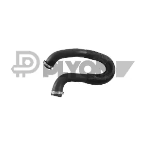 P769946 PLYOM