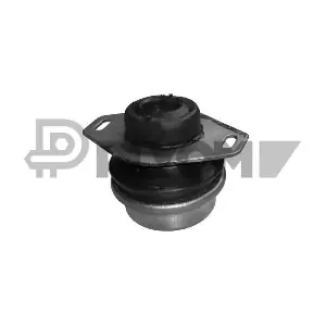 P030382 PLYOM