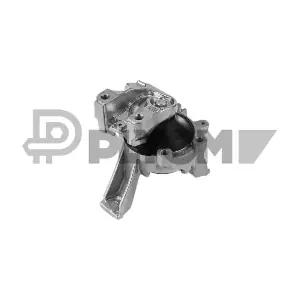 P756527 PLYOM