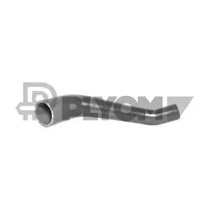 P011424 PLYOM