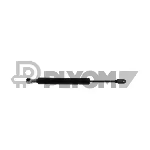 P773196 PLYOM