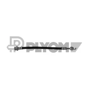 P752506 PLYOM