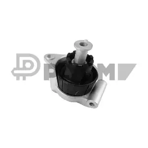 P480502 PLYOM