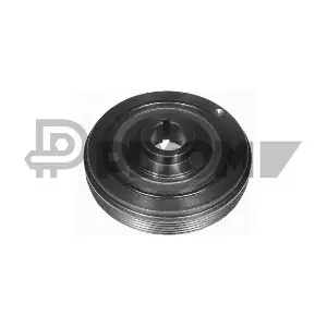 P030883 PLYOM