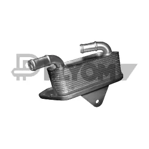 P751724 PLYOM