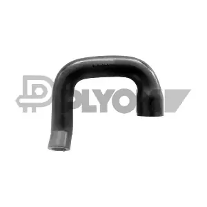 P753265 PLYOM