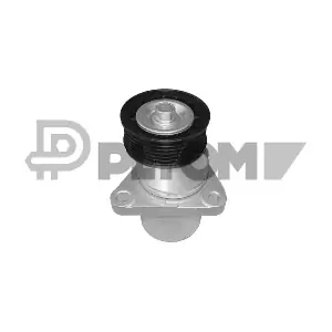 770253 PLYOM