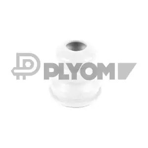 P760124 PLYOM