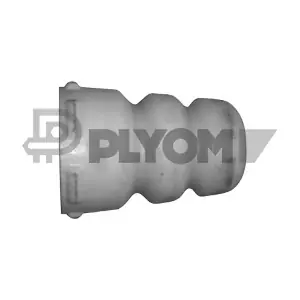 P462442 PLYOM