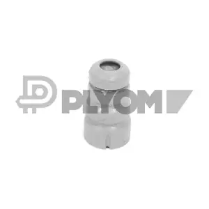 P750213 PLYOM