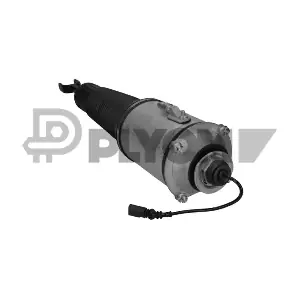 P752013 PLYOM