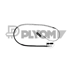 P763038 PLYOM