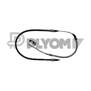 P487861 PLYOM