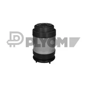 P752888 PLYOM