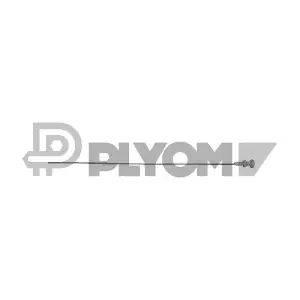 P031096 PLYOM