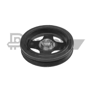 P770853 PLYOM