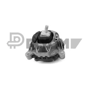P756503 PLYOM