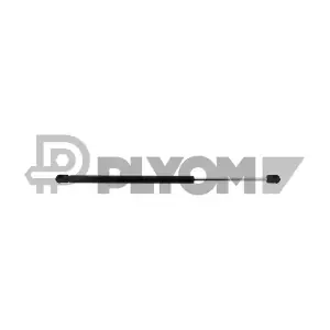 773238 PLYOM