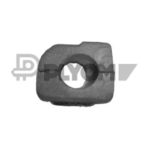 P767200 PLYOM