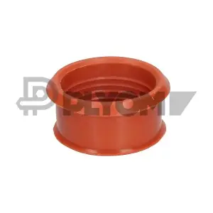 P031466 PLYOM