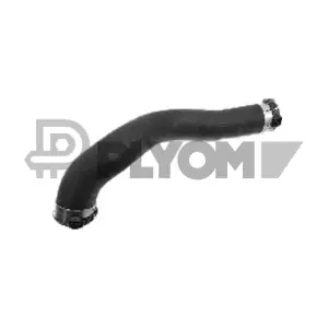 P772437 PLYOM